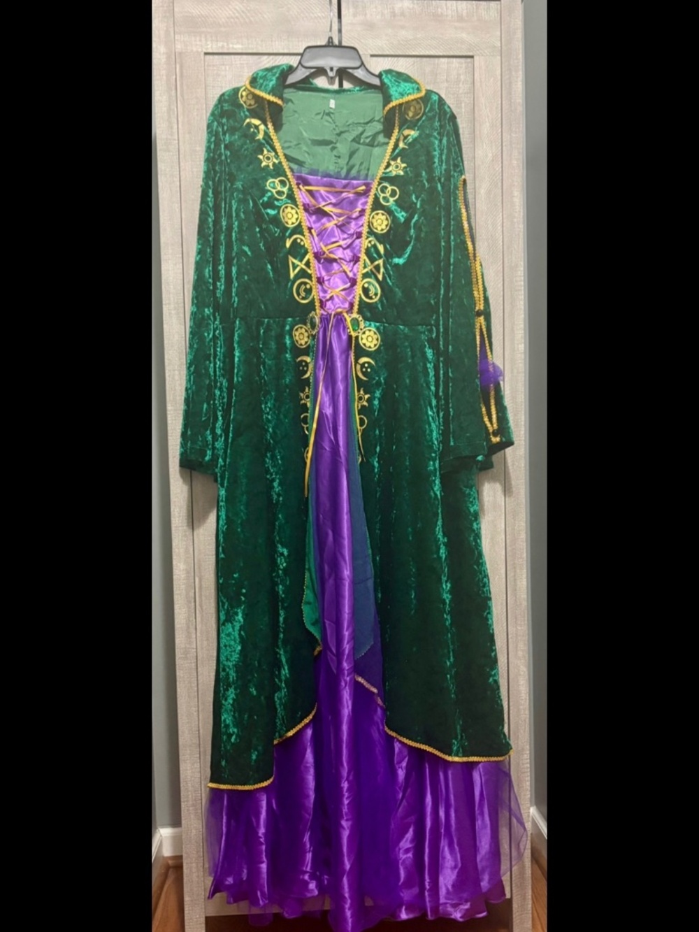 Hocus Pocus, Royalty, Renaissance Halloween Dress Costume XXL women